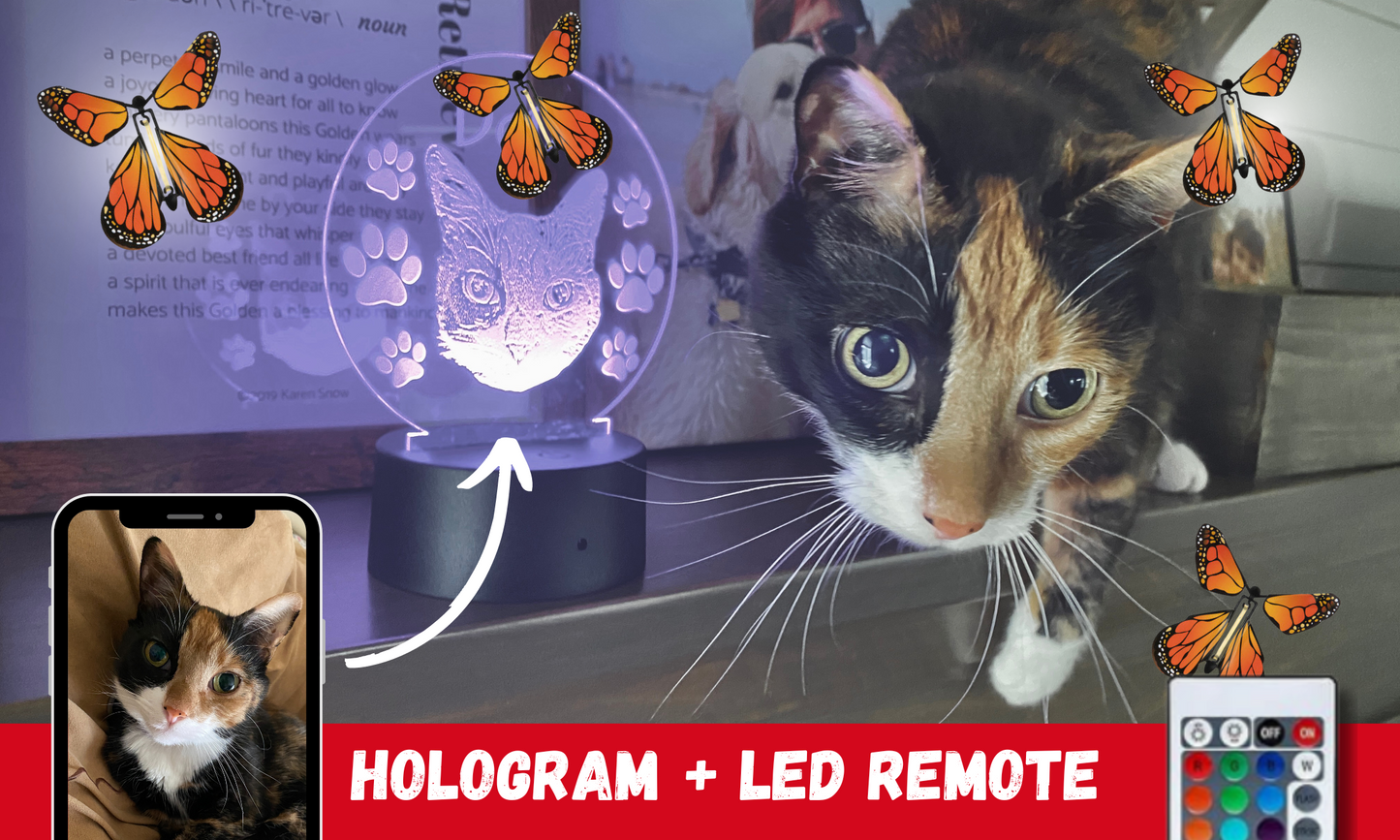 LED HOLOGRAM | PERSONALIZED | EXPLODING BUTTERFLIES